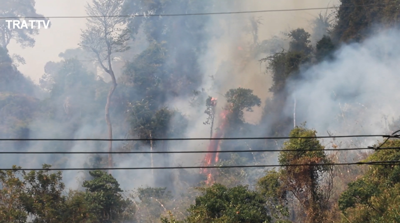 ไฟป่าตราด ไฟป่าตราด