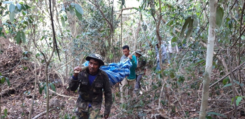 เสือทับลานกัดคน เสือทับลานกัดคน