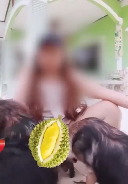 คลิปหมาเลียจิ๋ม คลิปหมาเลียจิ๋ม