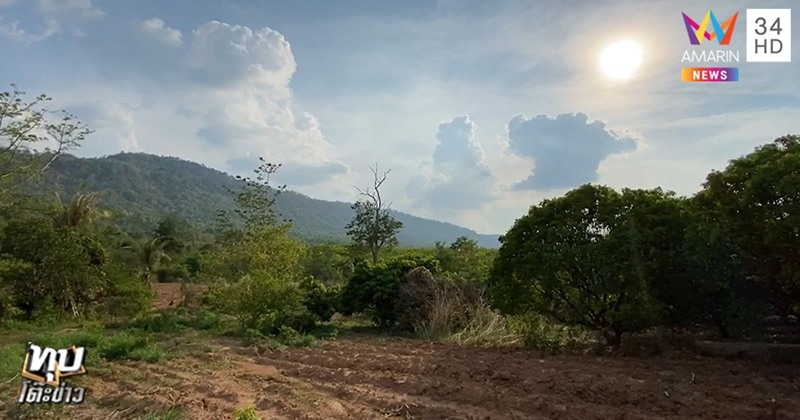 ข่าวคนหลงป่า ข่าวคนหลงป่า