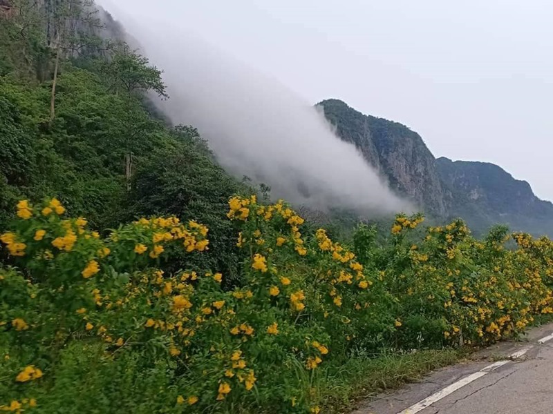 หมอกไหล หมอกไหล