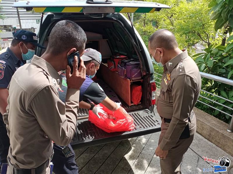 ศพทารก ศพทารก