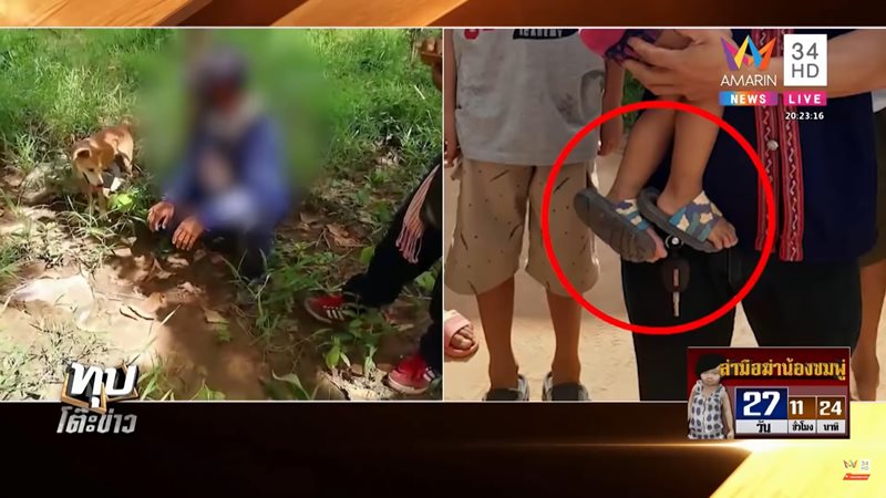 คดีน้องชมพู่ คดีน้องชมพู่