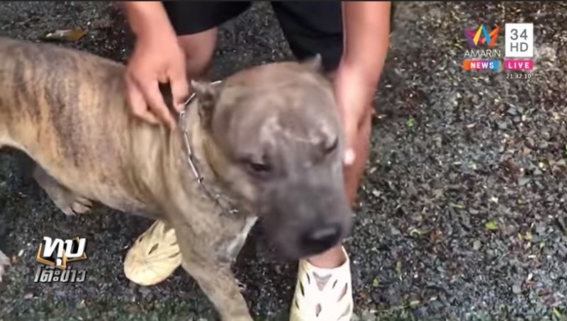 ข่าวน้องกานต์ เด็ก 6 ขวบ ข่าวน้องกานต์ เด็ก 6 ขวบ