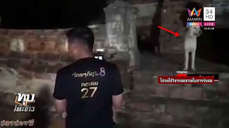 ช่องส่องผี ช่องส่องผี