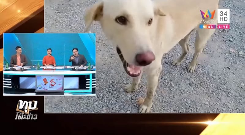 ช่องส่องผี ช่องส่องผี