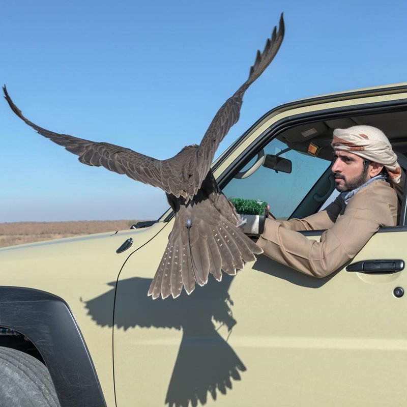 เจ้าชายดูไบ เจ้าชายดูไบ