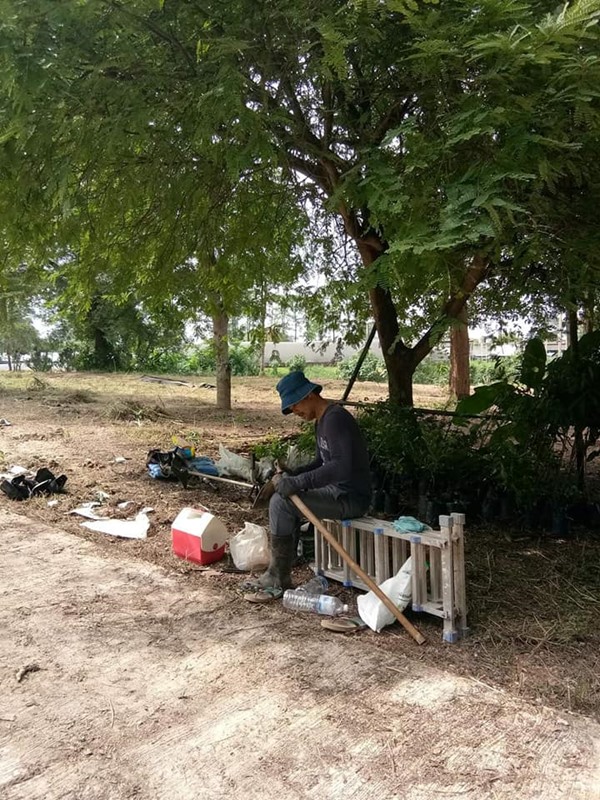 น้องก้อย น้องก้อย