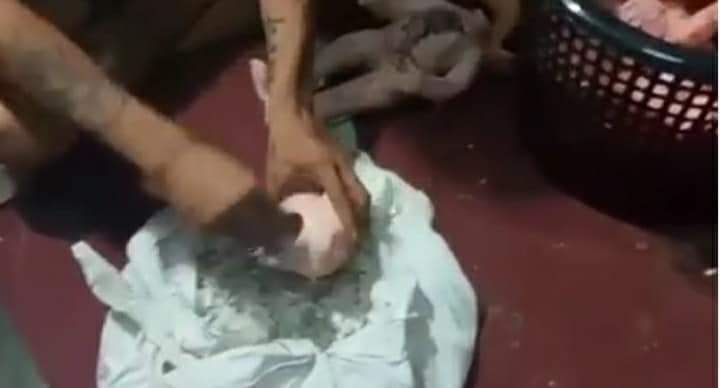 ตุ๊กตากุมารยัดกระดูกคน ตุ๊กตากุมารยัดกระดูกคน