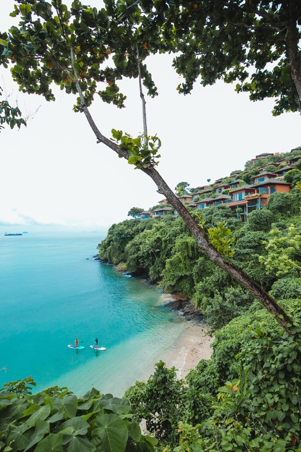 ศรีพันวา ศรีพันวา