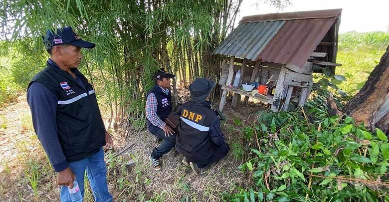 จับหมีควาย จับหมีควาย