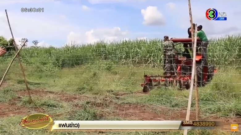 จับหมีควาย จับหมีควาย