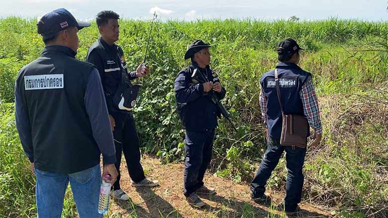 จับหมีควาย จับหมีควาย