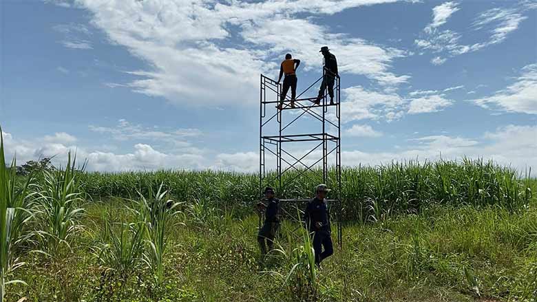 จับหมีควาย จับหมีควาย