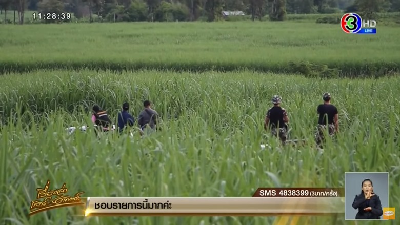 จับหมีควาย จับหมีควาย