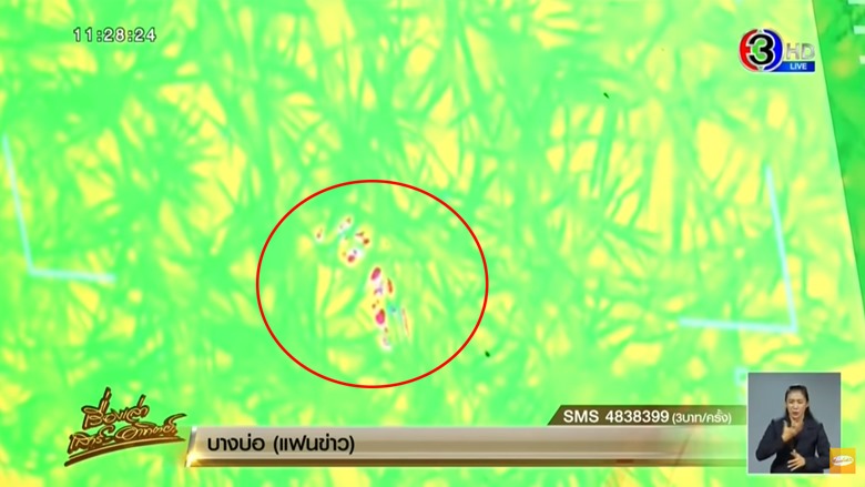 จับหมีควาย จับหมีควาย