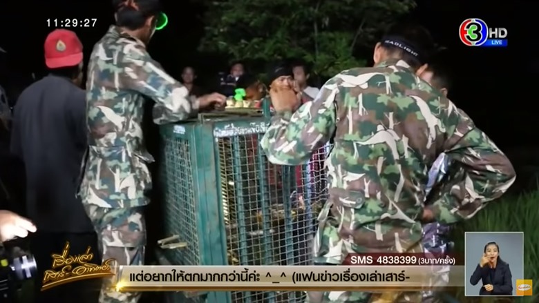 จับหมีควาย จับหมีควาย