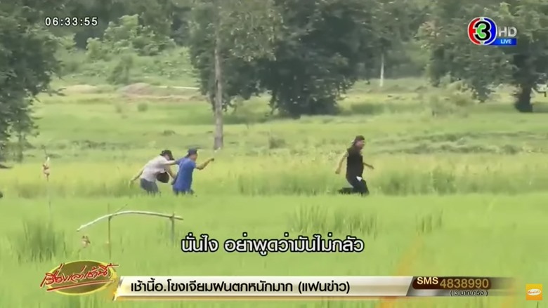 จับหมีควาย จับหมีควาย