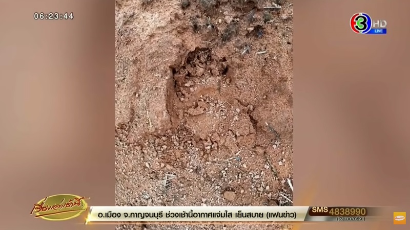 ข่าวหมีควาย ขอนแก่น ข่าวหมีควาย ขอนแก่น