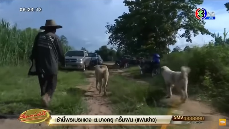 ข่าวหมีควาย ขอนแก่น ข่าวหมีควาย ขอนแก่น