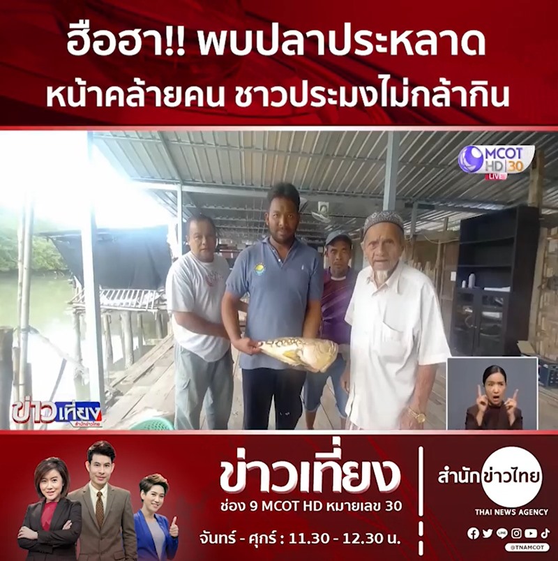 ปลาประหลาดหน้าคล้ายคน ปลาประหลาดหน้าคล้ายคน