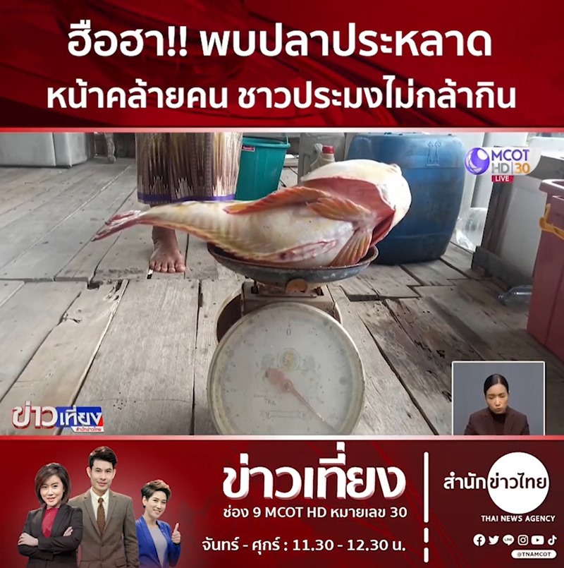 ปลาประหลาดหน้าคล้ายคน ปลาประหลาดหน้าคล้ายคน