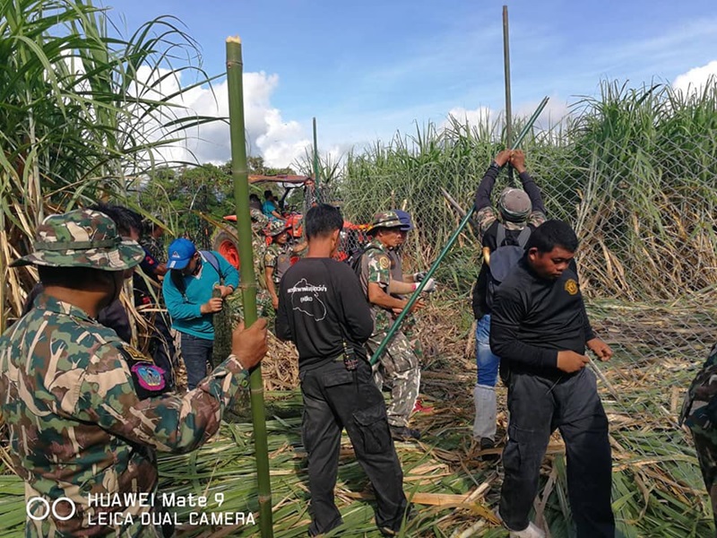 จับหมีควาย จับหมีควาย