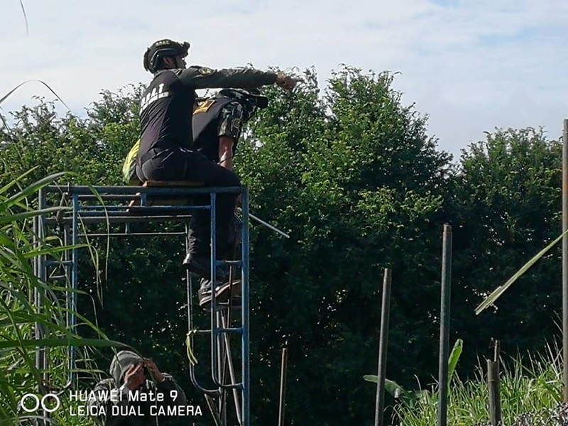 จับหมีควาย จับหมีควาย