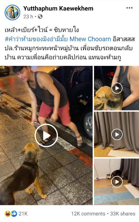 เมาอุ้มหมากลับบ้าน เมาอุ้มหมากลับบ้าน