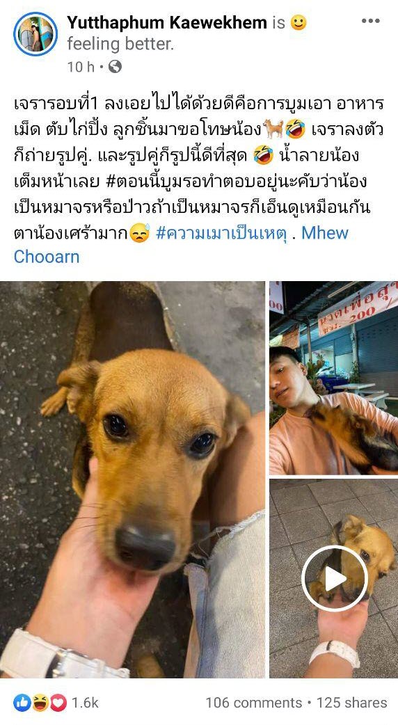 เมาอุ้มหมากลับบ้าน เมาอุ้มหมากลับบ้าน