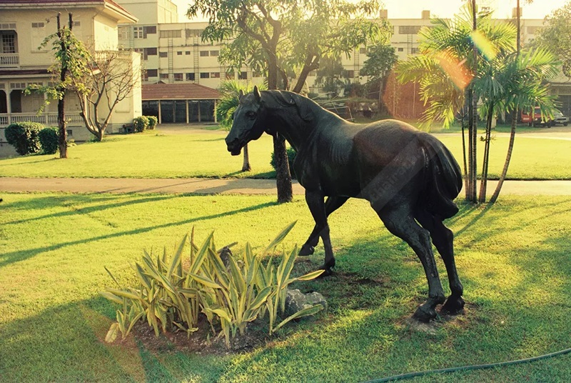 บ้านพิษณุโลก บ้านพิษณุโลก