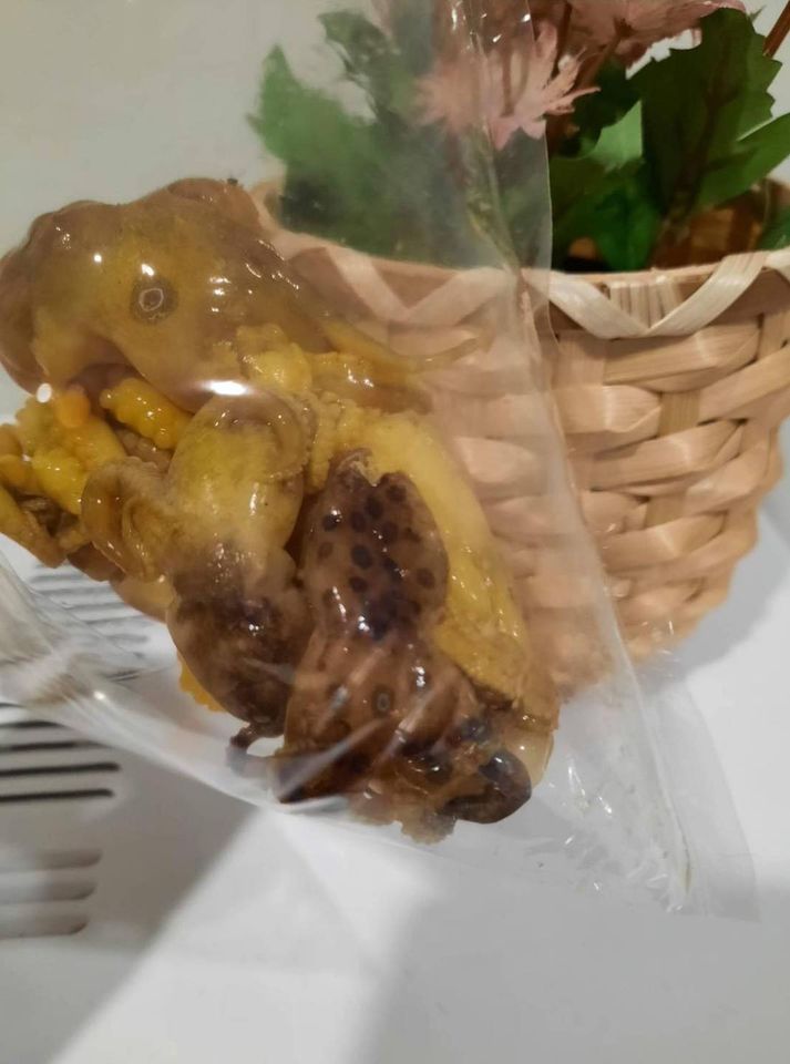 หมึกบลูริง หมึกบลูริง