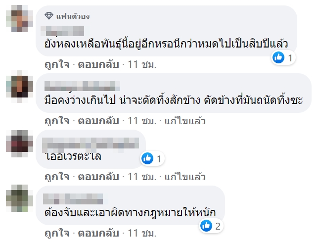 นักท่องเที่ยวมือบอน นักท่องเที่ยวมือบอน