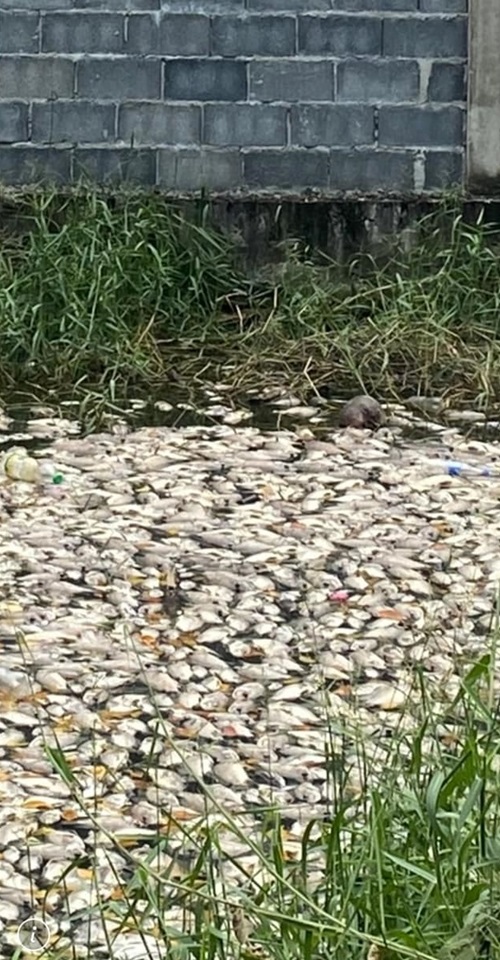 หมู่บ้านจัดสรรปล่อยน้ำเสีย หมู่บ้านจัดสรรปล่อยน้ำเสีย