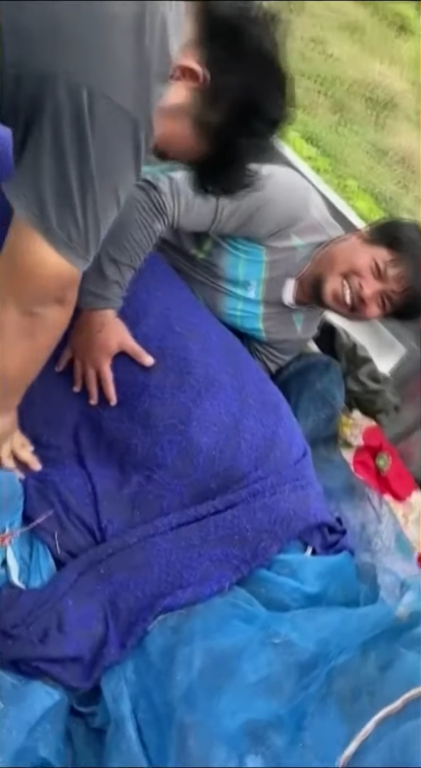 ปลาช่อนยักษ์ ปลาช่อนยักษ์