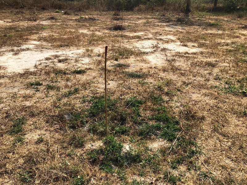 Before After ป่าฌอนกับบิ๊กป้อม Before After ป่าฌอนกับบิ๊กป้อม