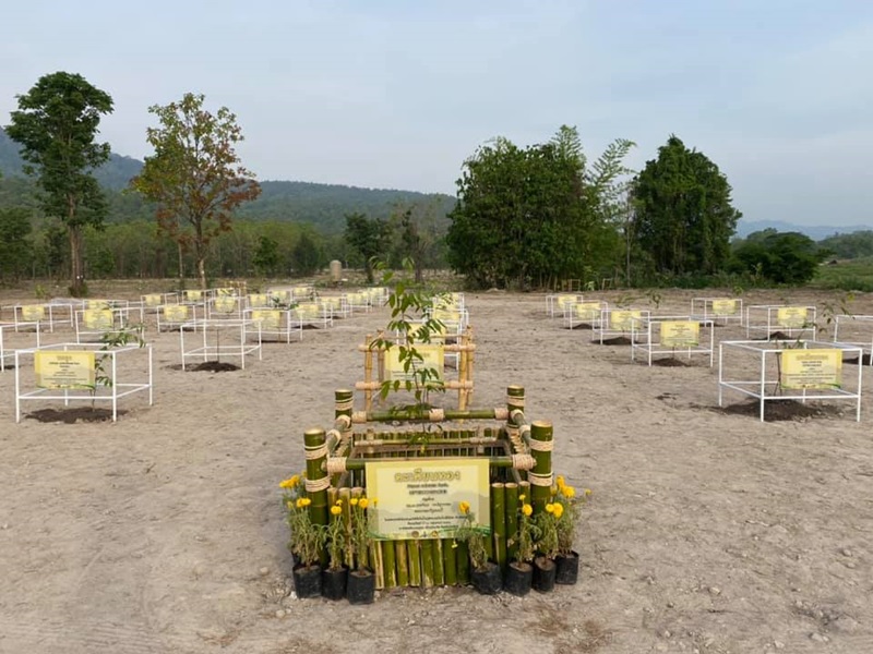 ดราม่าฌอนปลูกป่า ดราม่าฌอนปลูกป่า