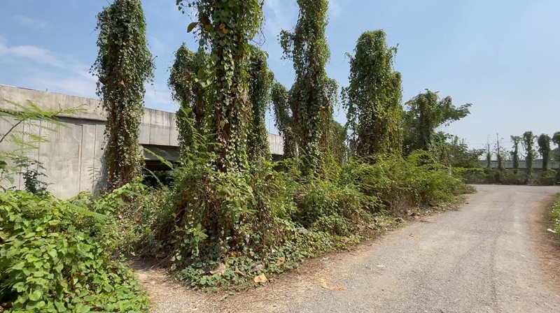 จุดมั่วเซ็กส์ จ.เชียงใหม่ จุดมั่วเซ็กส์ จ.เชียงใหม่