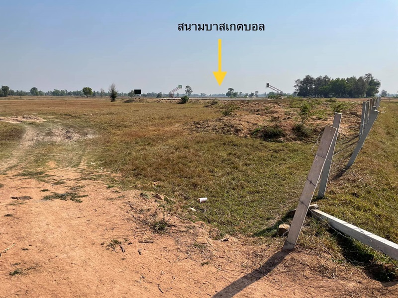 สนามกีฬากลางทุ่งนา สนามกีฬากลางทุ่งนา