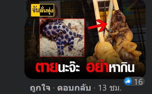 หมึกบลูริง หมึกบลูริง