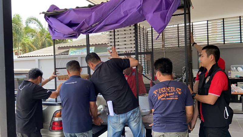 จับยาเสพติด ยึดแมว จับยาเสพติด ยึดแมว