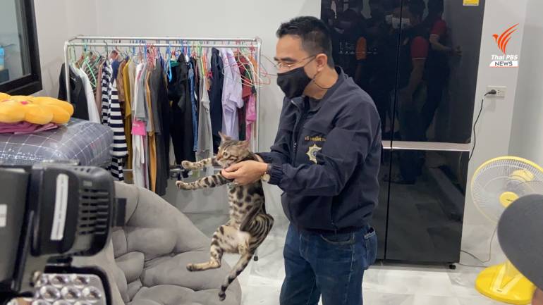 จับยาเสพติด ยึดแมว จับยาเสพติด ยึดแมว