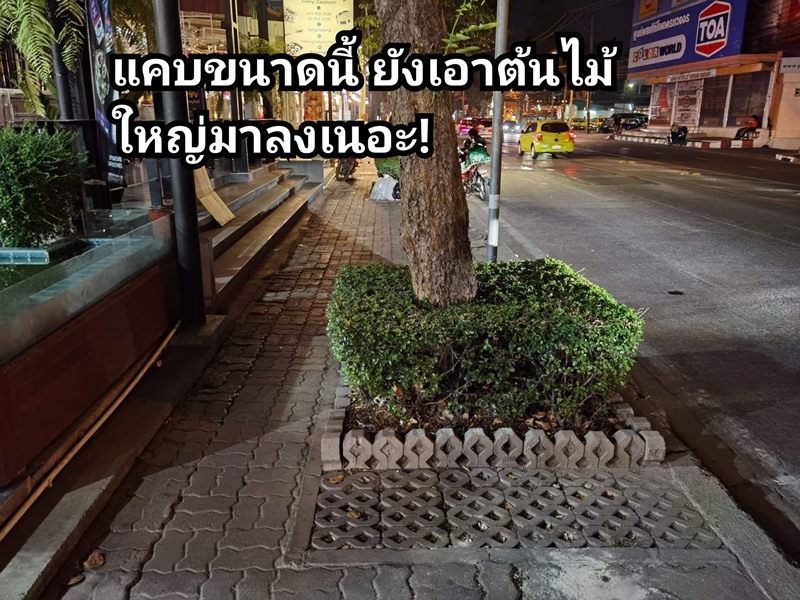 อุดมสุข อุดมสุข