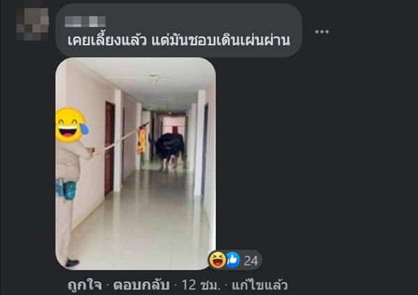 หาหอพักที่เลี้ยงวัวได้ หาหอพักที่เลี้ยงวัวได้