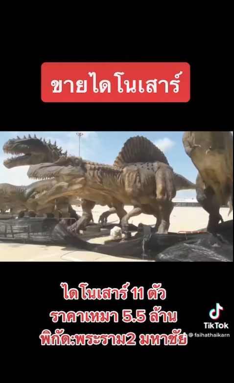 ขายไดโนเสาร์ ขายไดโนเสาร์