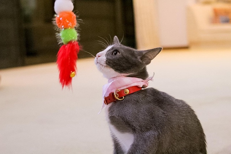 น้องลูซีล น้องลูซีล