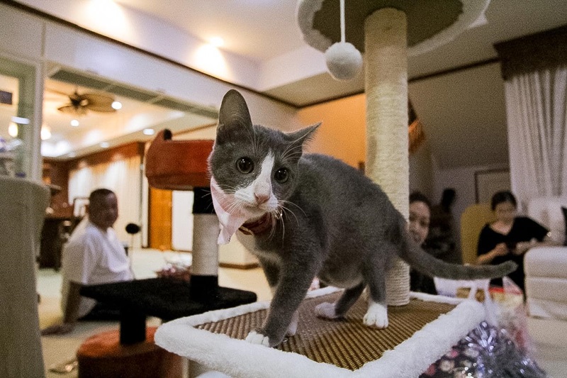 น้องลูซีล น้องลูซีล