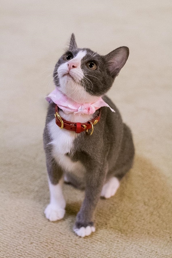 น้องลูซีล น้องลูซีล