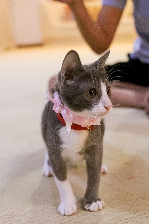 น้องลูซีล น้องลูซีล