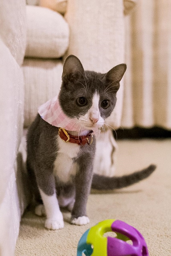 น้องลูซีล น้องลูซีล